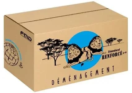 Carton renforcé 40x30x30