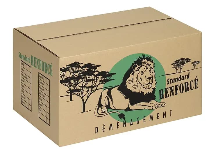 Carton standard 55x35x30